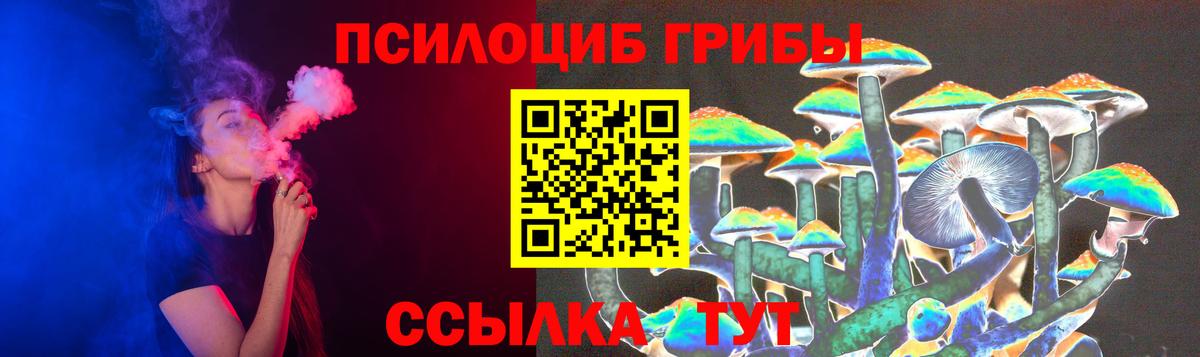 Абинск  Псилоцибиновые грибы Psilocybine cubensis  Вход с VPN 